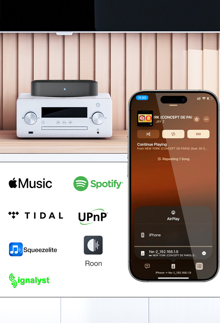 arsy_ne-2_streaming_music_player_11.png